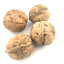 Wholesale Good Quality 100% Natural Healthy Food Bulk Walnuts